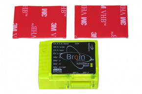 MSH Brain Case - Clear Yellow